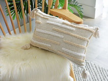 Load image into Gallery viewer, Fringed Suede And Velvet Pillowcase
